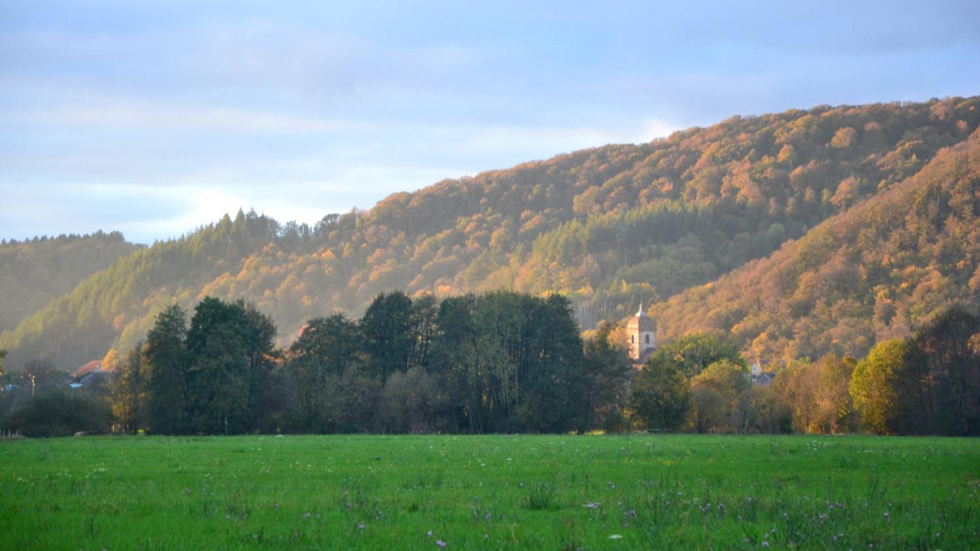 Chalet Des Aigrettes, Les 1000 Etangs La Voivre  Bagian luar foto