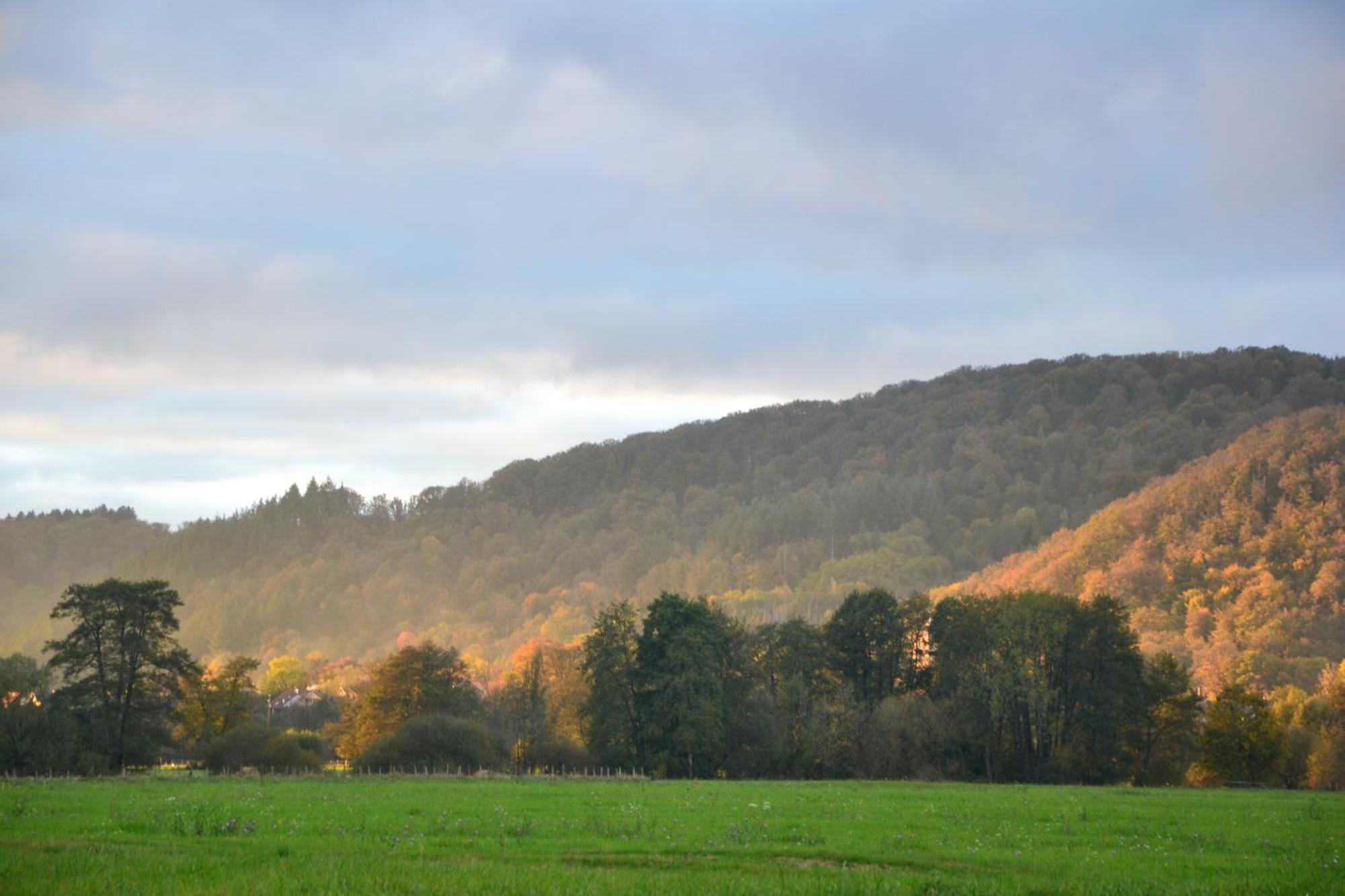 Chalet Des Aigrettes, Les 1000 Etangs La Voivre  Bagian luar foto