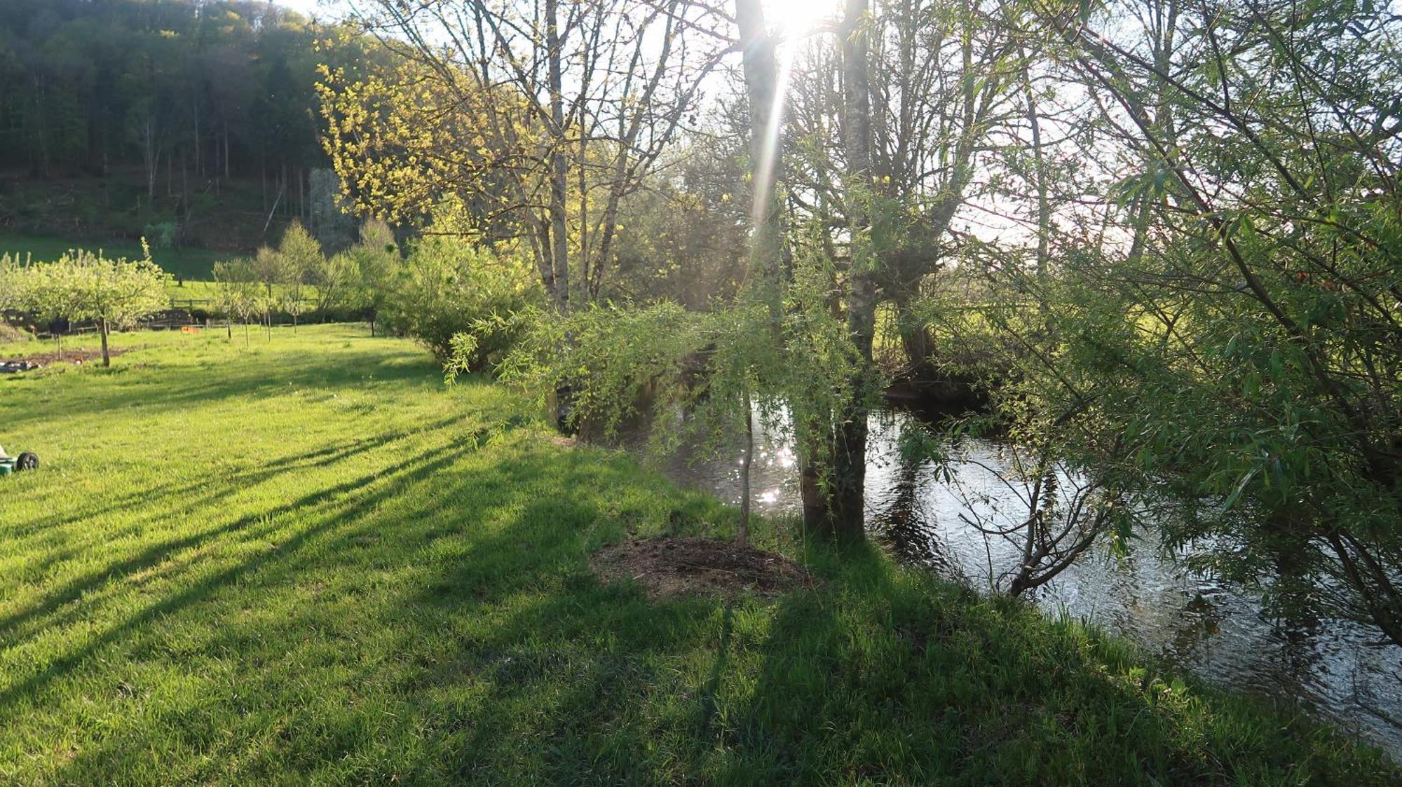 Chalet Des Aigrettes, Les 1000 Etangs La Voivre  Bagian luar foto